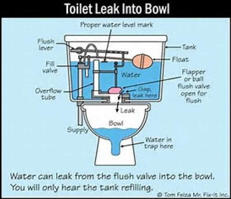 Image of the workings of a toilet