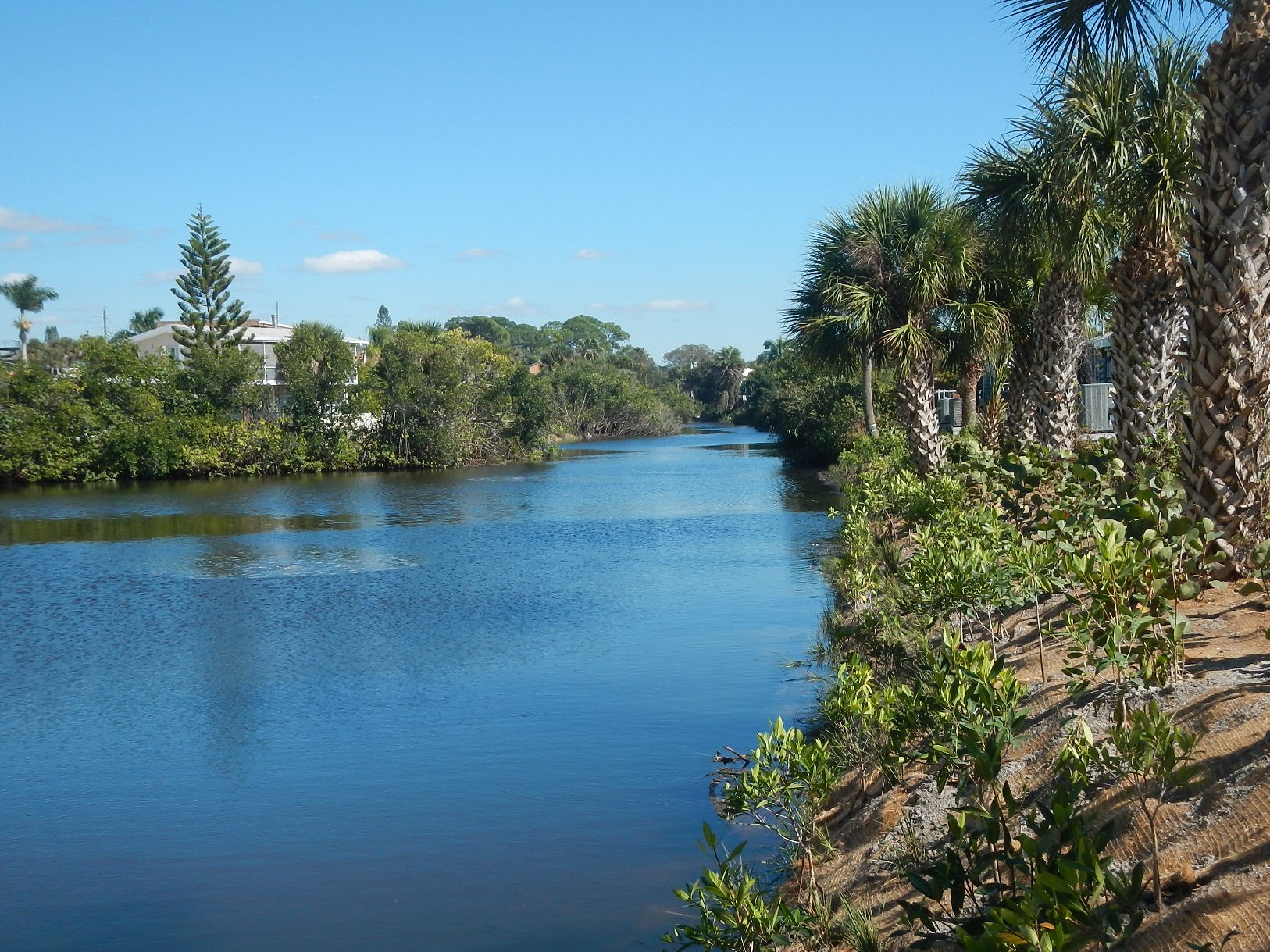 picture of Flamingo Ditch