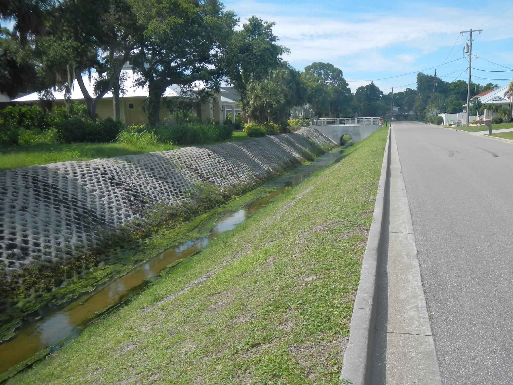 picture of a swale