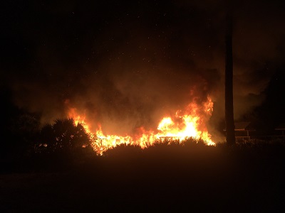 ServiceClubParkFire3.4.18