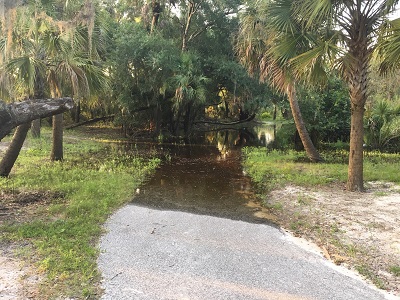 MyakkaRiverParkFlooding6.4.18