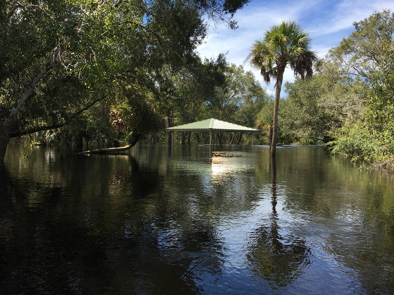 Myakka10.01.18