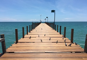 Venice Fishing Pier rehab 6.3.19