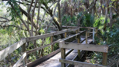 Pinebrook Park boardwalk