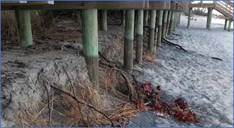 Caspersen Beach erosion