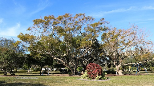 West Blalock Park landscape