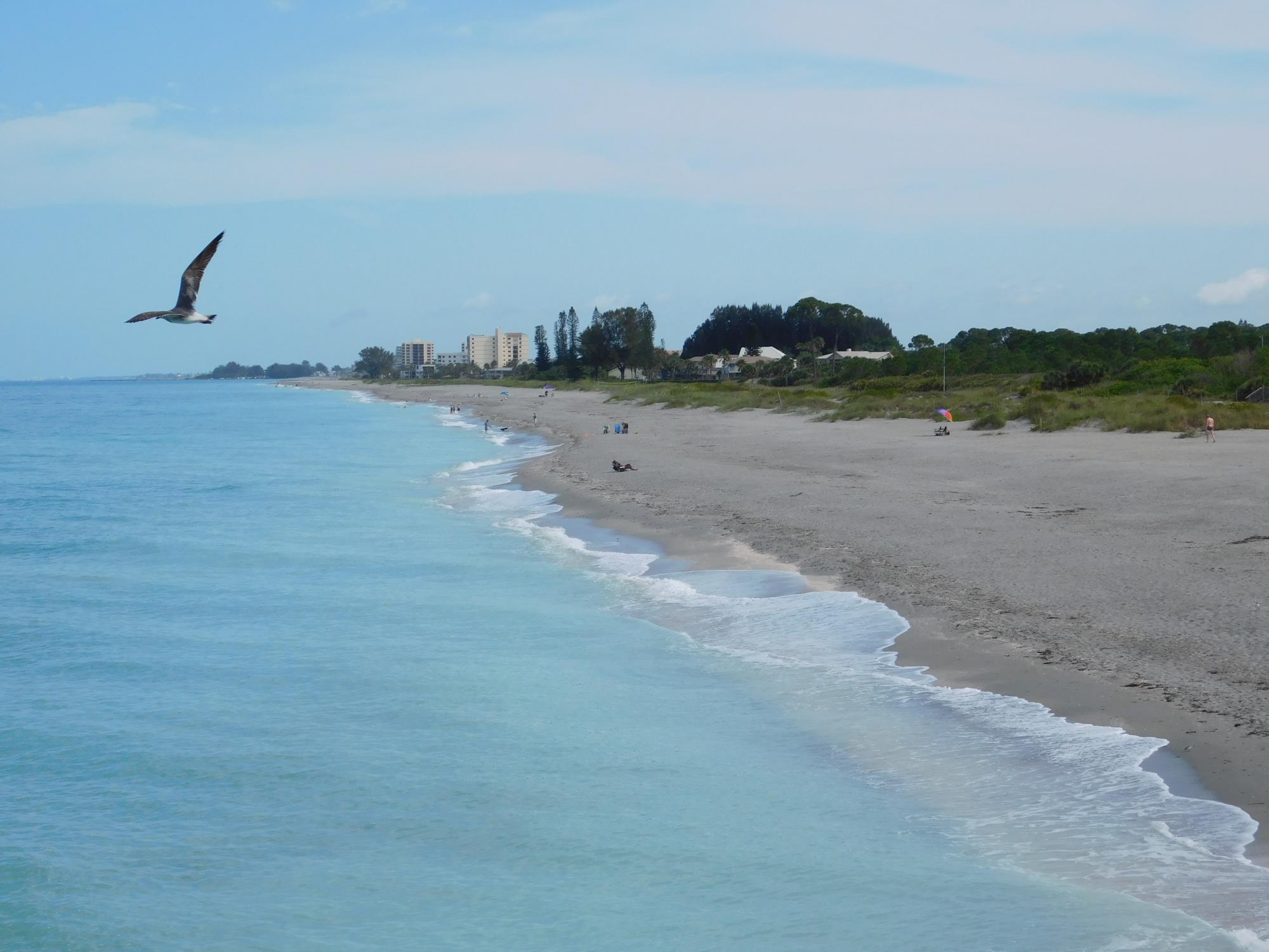 Beach at Venice Pier