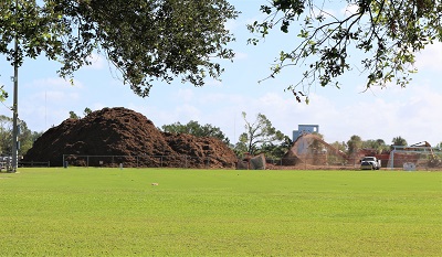 Wellfield Park debris pile  11.7.22