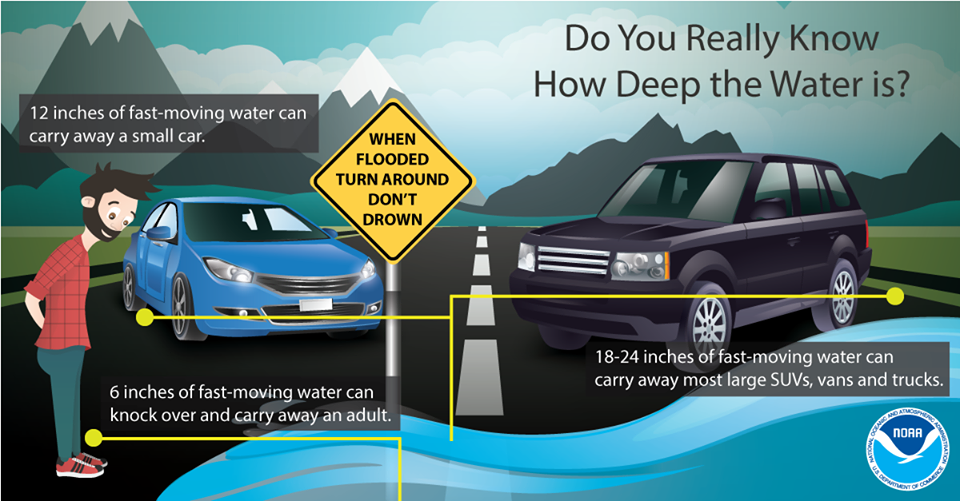 Turn Around Don't Drown